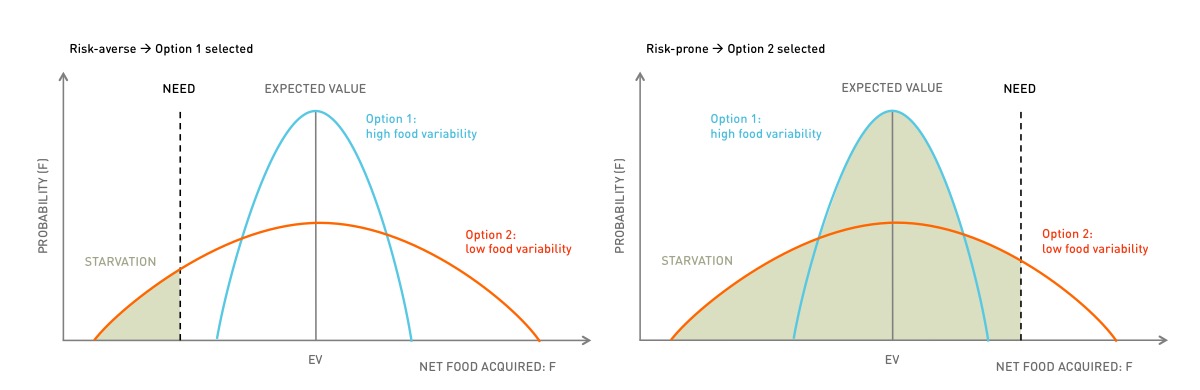 Risk-sensitive foraging theory